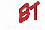 Black Triangle Group